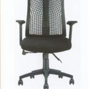 Access Chair